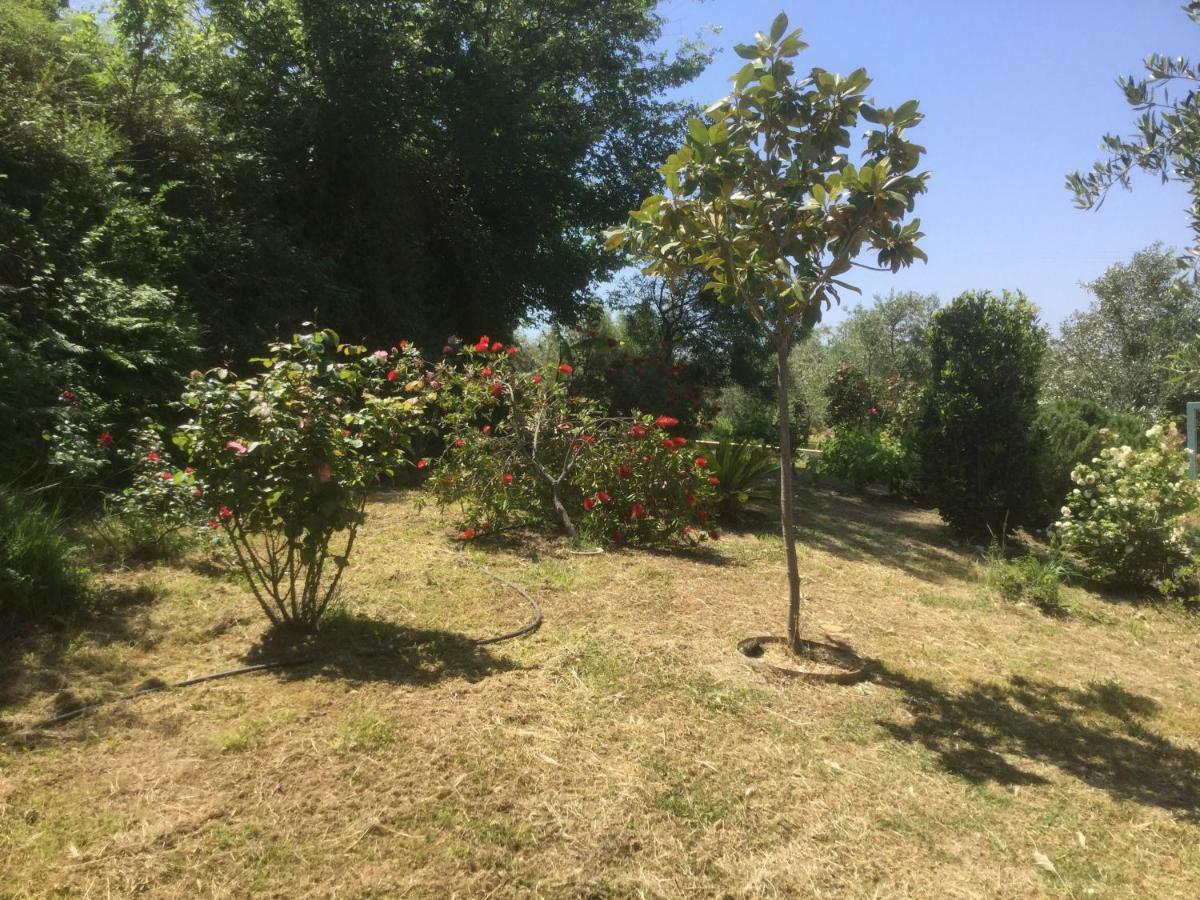 The Cabin, Kyparissia Exterior photo